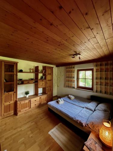 Alpine cottage with exceptional view in Mayrhofen Alpine cottage with exceptional view in Mayrhofen