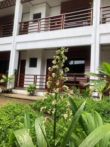 Balcony/terrace, MLB Beachfront Apartment in Siquijor Island Balcony/terrace, MLB Beachfront Apartment in Siquijor Island