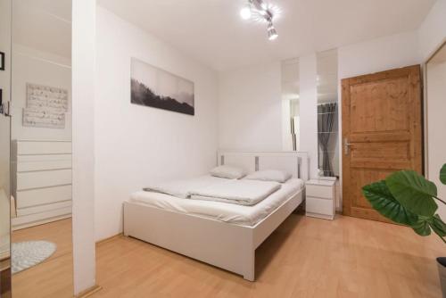 Spacious central apartment