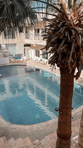 Úszómedence, Red Sea Hotel in Eilat Úszómedence, Red Sea Hotel in Eilat