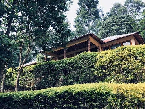 Pemandangan, Bwindi Forest Lodge in Kanungu Pemandangan, Bwindi Forest Lodge in Kanungu
