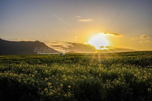 Pogled, Modern Country Holiday Home in Riebeek-Wes Pogled, Modern Country Holiday Home in Riebeek-Wes