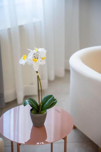 Létesítmények, Alexandros Suite in Agioi Anargyroi Létesítmények, Alexandros Suite in Agioi Anargyroi