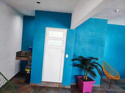 حمام, Gris Departamento 33 M2 in Sin Asignación En Nombre de Asentamiento حمام, Gris Departamento 33 M2 in Sin Asignación En Nombre de Asentamiento