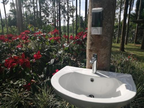 Taman, Murchison Backpackers in Masindi Taman, Murchison Backpackers in Masindi