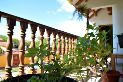 Casa Cristina in Santa Rita Casa Cristina in Santa Rita