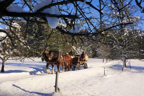 Horseback riding, Bayerwald-Ferienhof Schmid in Eppenschlag Horseback riding, Bayerwald-Ferienhof Schmid in Eppenschlag