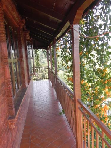 Balkon/teras, Rupa View Guest house in Lakhnath Balkon/teras, Rupa View Guest house in Lakhnath