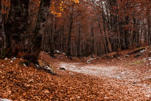 Surrounding environment, Appartamento a Campo Felice - Treeffe in Lucoli Surrounding environment, Appartamento a Campo Felice - Treeffe in Lucoli