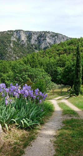 Gite en Cevennes du sud, bergerie restauree, 2 a 4 personnes, piscine, vue exceptionnelle, authentic in Cazilhac Gite en Cevennes du sud, bergerie restauree, 2 a 4 personnes, piscine, vue exceptionnelle, authentic in Cazilhac