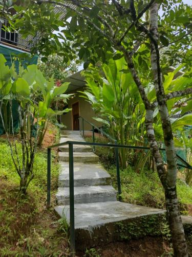 Hotel Cabinas Murillo in Drake Bay Hotel Cabinas Murillo in Drake Bay