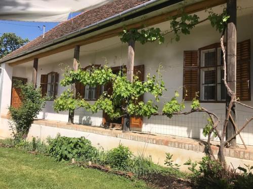 Feked Farmstay in ฟีเคด Feked Farmstay in ฟีเคด