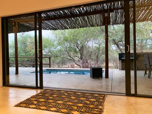 Swimming pool, Kruger Willows in Kruger National Park Swimming pool, Kruger Willows in Kruger National Park