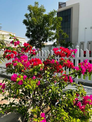 Κήπος, Abu Rakan Apartment in Σεεμπ (Μουσκάτ) Κήπος, Abu Rakan Apartment in Σεεμπ (Μουσκάτ)