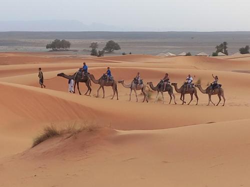 메르조가 액티비티 캠프 (Merzouga Activities Camp) in 메르주가 메르조가 액티비티 캠프 (Merzouga Activities Camp) in 메르주가