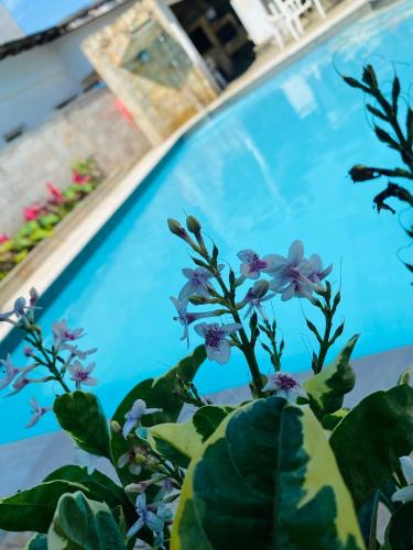 Pousada Kavili 150m da Praia in กวารุจ้า Pousada Kavili 150m da Praia in กวารุจ้า