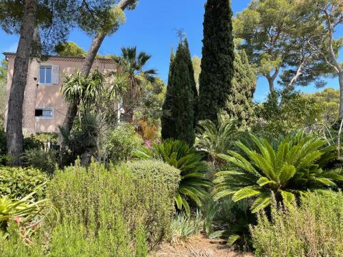 Rez-de-chaussee dans grand jardin provencal, a la villa Tatiana in Trois Moulins Rez-de-chaussee dans grand jardin provencal, a la villa Tatiana in Trois Moulins