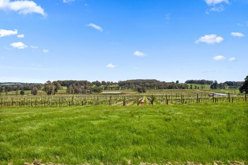 Spacious peaceful 3-Bed Home on a Winery Estate in Exeter Spacious peaceful 3-Bed Home on a Winery Estate in Exeter