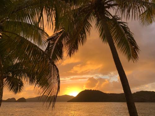 Bungalow Anolis face a la mer a 2 min de la plage. in Terre-de-Haut Bungalow Anolis face a la mer a 2 min de la plage. in Terre-de-Haut
