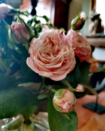 المرافق, La Maison de Ville in Compiegne City Center المرافق, La Maison de Ville in Compiegne City Center