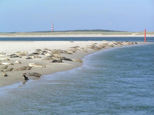 Facilities, Sier aan Zee in Ameland Facilities, Sier aan Zee in Ameland