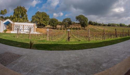 สวน, Atrium Vinea Brintziki Winery in สเตรฟิออน สวน, Atrium Vinea Brintziki Winery in สเตรฟิออน