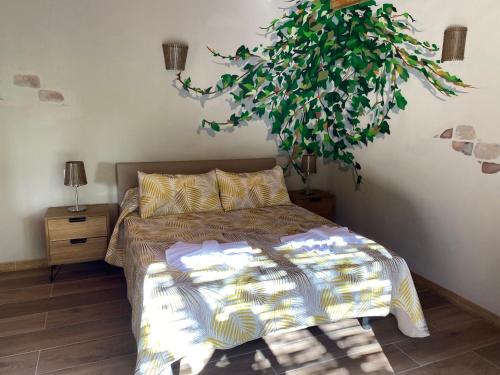 Finca Aquilino y Carmen