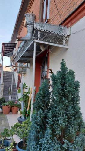 Boutique hotel in Poti Boutique hotel in Poti