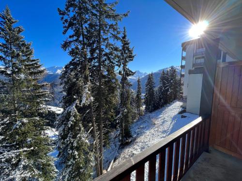 Cosy studio for 5 near ski lift, HAMEAU D2 in Vex Cosy studio for 5 near ski lift, HAMEAU D2 in Vex