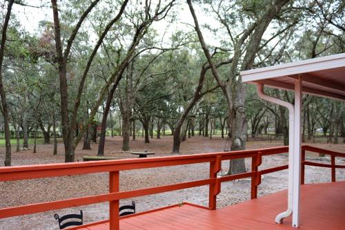 Valrico Retreat with Fire Pit about 18 Mi to Tampa! in Riverview (FL) Valrico Retreat with Fire Pit about 18 Mi to Tampa! in Riverview (FL)