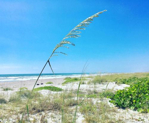 Updated! Ocean Beach Villas Unit 202- Direct Oceanfront Condo! in Crescent Beach Updated! Ocean Beach Villas Unit 202- Direct Oceanfront Condo! in Crescent Beach