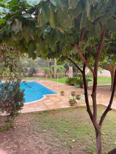 taman, Dar dguech in Tozeur taman, Dar dguech in Tozeur
