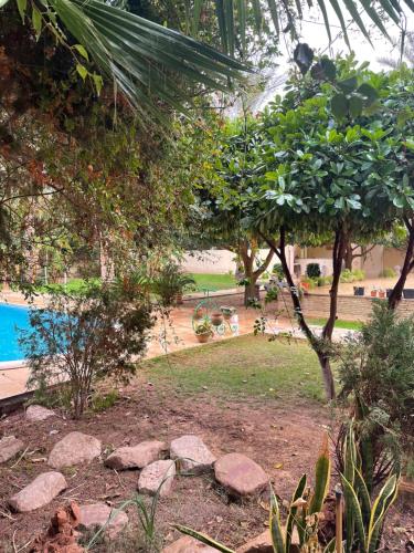 taman, Dar dguech in Tozeur taman, Dar dguech in Tozeur
