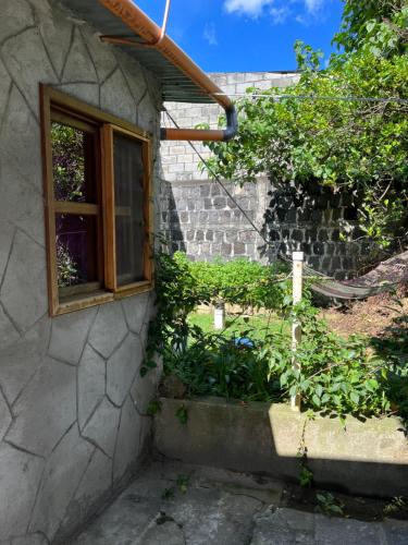 花園, Casa Qatzij - Guest House, Lake Atitlan in 聖盧卡斯托利曼 花園, Casa Qatzij - Guest House, Lake Atitlan in 聖盧卡斯托利曼