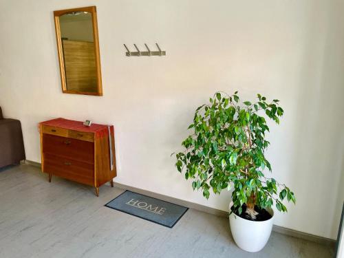 Ferienwohnung Blumenwiese - MAIGLOCKCHEN in Giebelstadt Ferienwohnung Blumenwiese - MAIGLOCKCHEN in Giebelstadt
