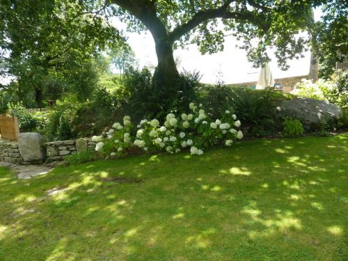 Κήπος, 17th century Breton cottage with modern interior on the edge of a forest. in Ουελγκότ Κήπος, 17th century Breton cottage with modern interior on the edge of a forest. in Ουελγκότ