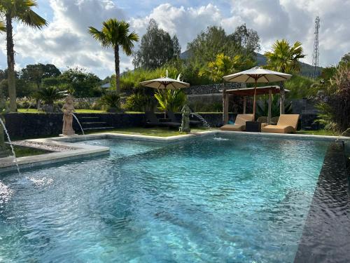 The Lava Bali Villa and Hot Spring near Mount Batur The Lava Bali Villa and Hot Spring near Mount Batur