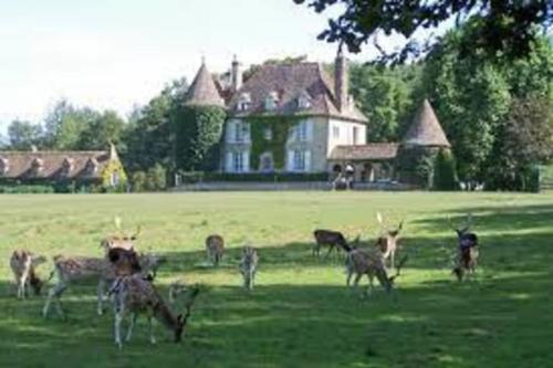 Au Calme Absolu chez Nicolas Voyage au calme in Lindry Au Calme Absolu chez Nicolas Voyage au calme in Lindry