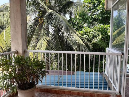 Balcony/terrace, Lake Nesty Bolgoda Resort in Bolgoda Lake Balcony/terrace, Lake Nesty Bolgoda Resort in Bolgoda Lake