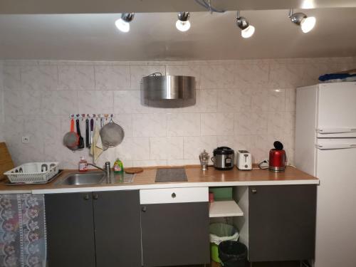 Facilities, Rose in Villejuif Facilities, Rose in Villejuif