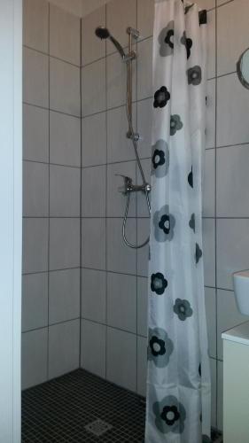 Ferienwohnung Rose in Gries Ferienwohnung Rose in Gries