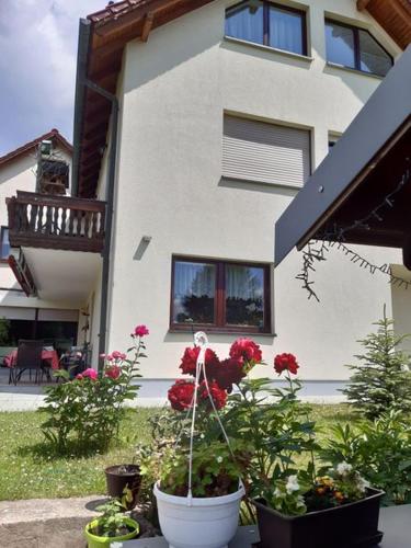 A szálláshely kívülről, Thüringer Zimmer (Thuringer Zimmer) in Albrechts A szálláshely kívülről, Thüringer Zimmer (Thuringer Zimmer) in Albrechts