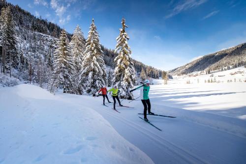 Sport és szabadidő, Naturpark Hutte Mandl, Biobauernhof & Huttenurlaub in Szent Lambrecht Sport és szabadidő, Naturpark Hutte Mandl, Biobauernhof & Huttenurlaub in Szent Lambrecht