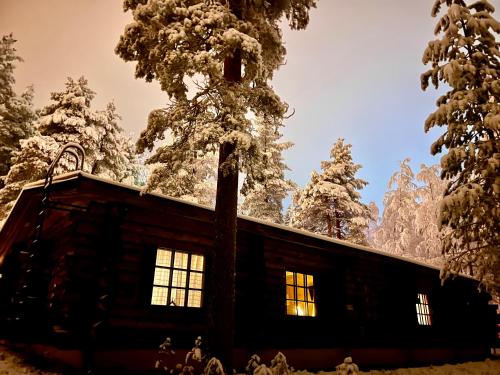 Exterior view, Arctic Lodges Lapland Ski In Family Studio, Wi-Fi, National Park - Lapland Villas in Pyhatunturi Exterior view, Arctic Lodges Lapland Ski In Family Studio, Wi-Fi, National Park - Lapland Villas in Pyhatunturi