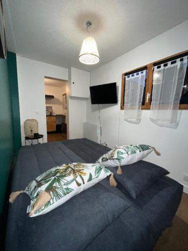 Adorable F1, au bord du lac d’élancourt village