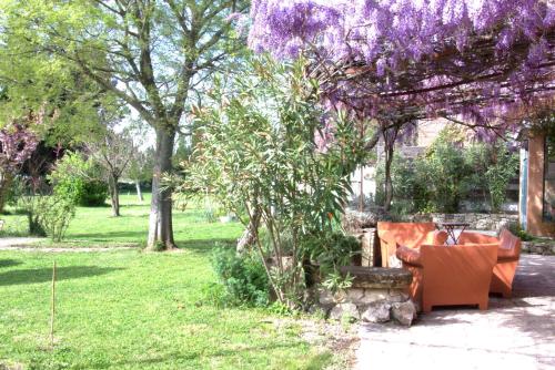 tuin, Mas Du Petit Claux in Barbentane tuin, Mas Du Petit Claux in Barbentane