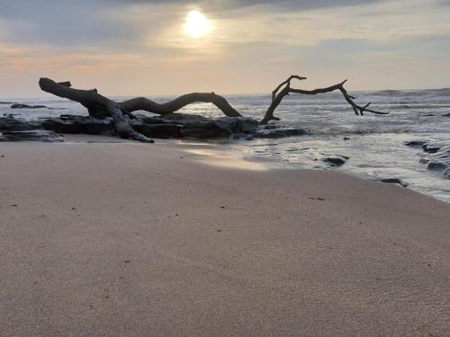 Beach, Driftwood Chalets in Tugela Mouth Beach, Driftwood Chalets in Tugela Mouth