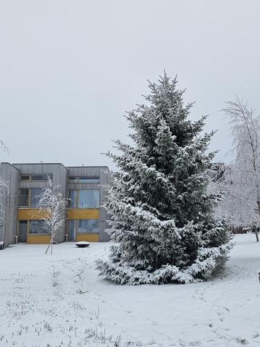 Kert, Apartment Max in Loucna Pod Klinovcem Kert, Apartment Max in Loucna Pod Klinovcem