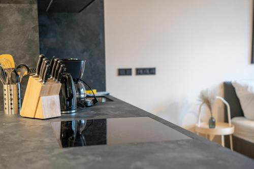 FULL HOUSE Premium Apartments Jena in Jena FULL HOUSE Premium Apartments Jena in Jena