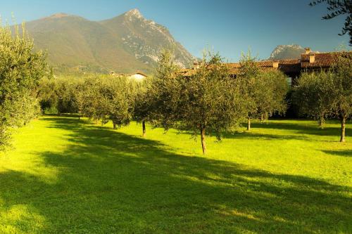 Garden, Casa Gardenia in Toscolano Maderno Garden, Casa Gardenia in Toscolano Maderno